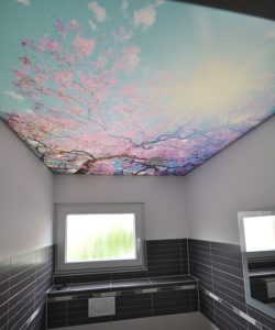 سقف کشسان سرویس بهداشتی