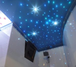 سقف کشسان سرویس بهداشتی