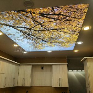 سقف کشسان آشپزخانه